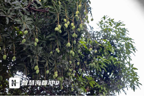 微信图片_2026-06-08_152104_614.png