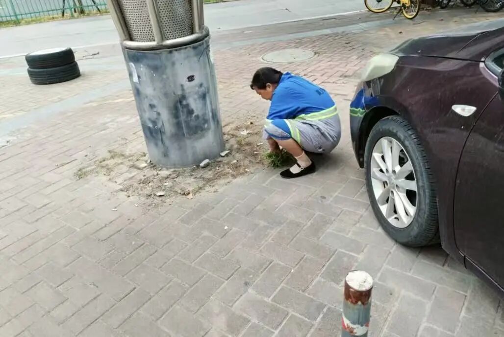 微信图片_2026-08-17_160214_318.jpg