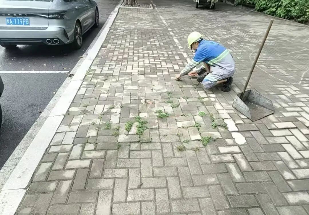 微信图片_2026-08-17_160216_801.jpg